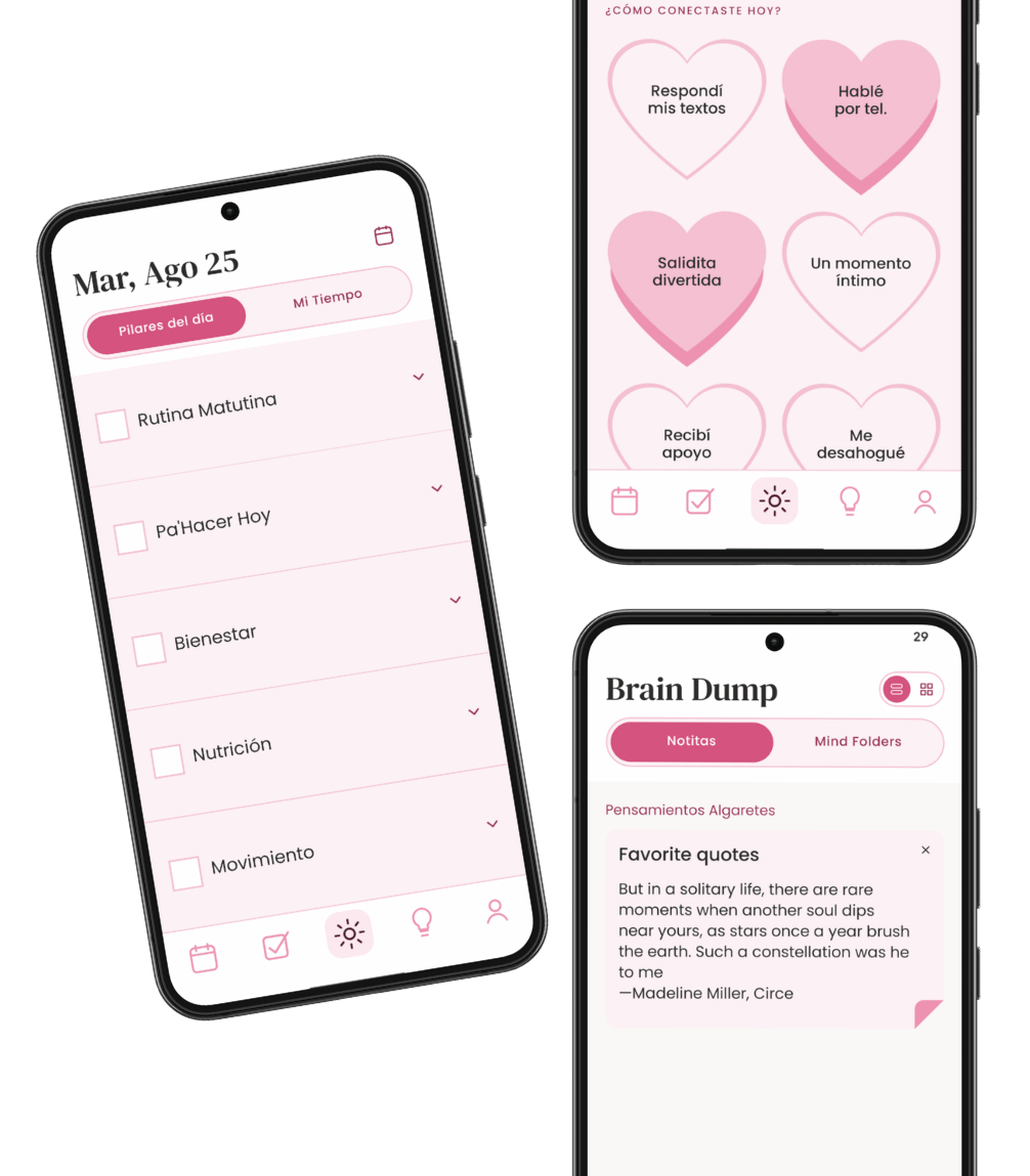 Venus Planner pink theme preview